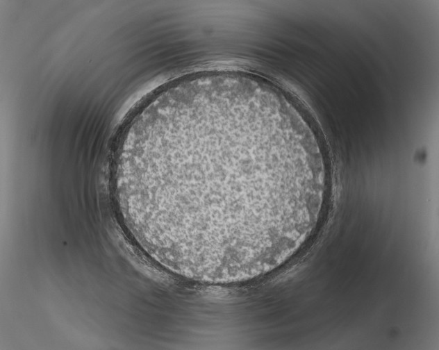 X0000115550827200912181551