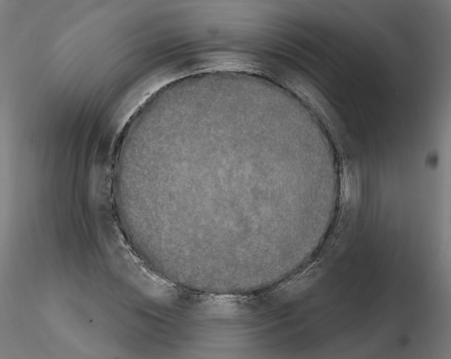 X0000115550828200912181551