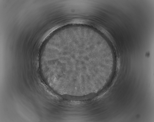 X0000115550829200912181551