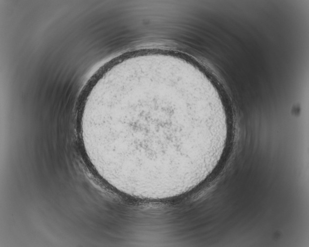 X0000115550830200912181551