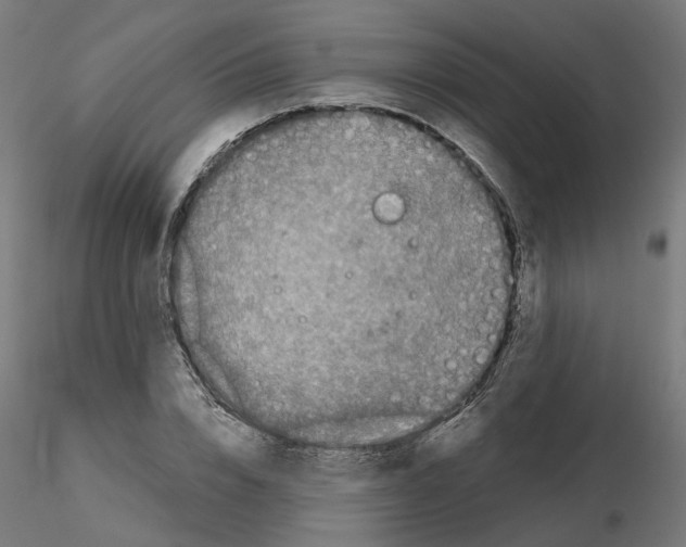 X0000115550832200912181551