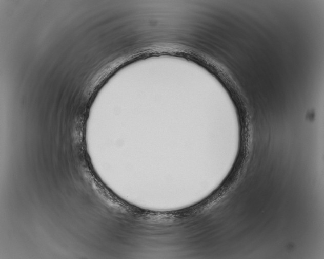 X0000115550833200912181551