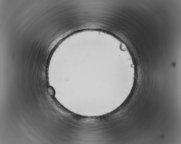 X0000115550834200912181551