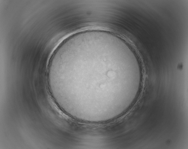 X0000115550836200912181551