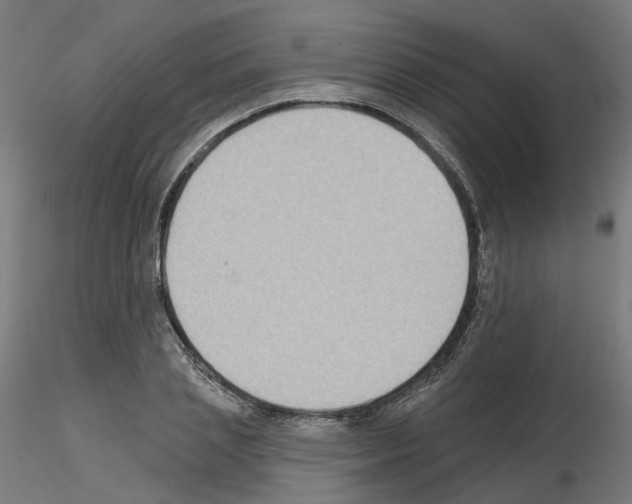 X0000115550837200912181551