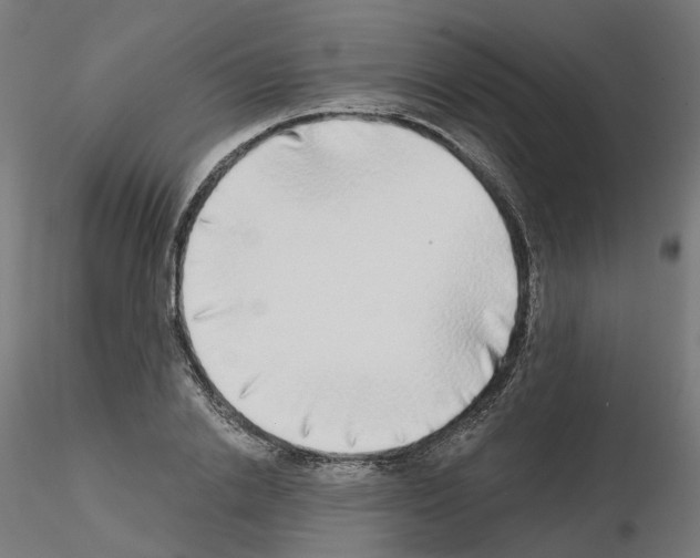 X0000115550838200912181551