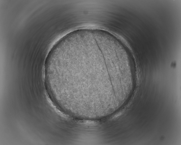 X0000115550839200912181551