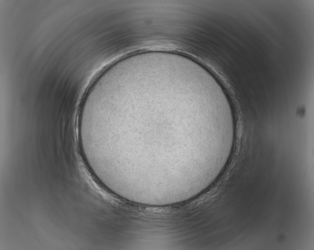 X0000115550840200912181551