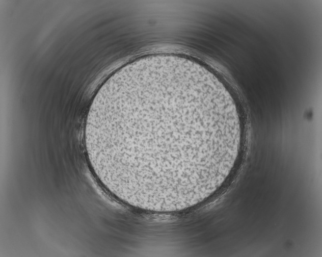 X0000115550841200912181551