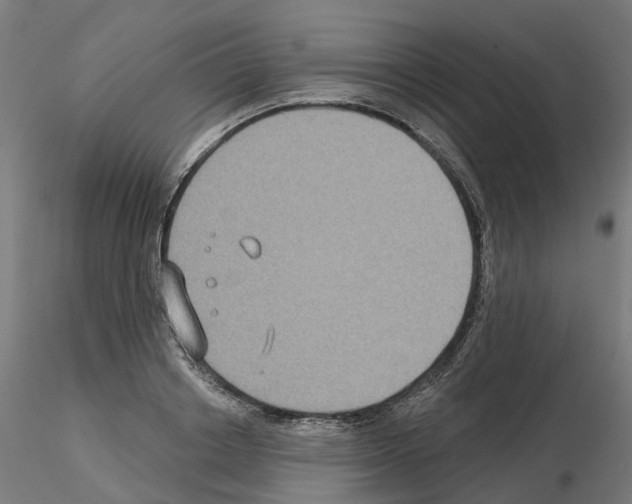 X0000115550842200912181551