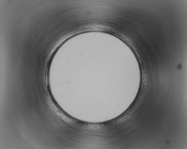 X0000115550843200912181551