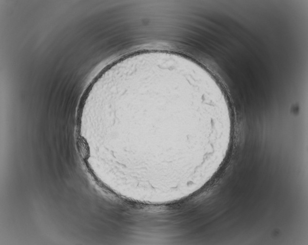 X0000115550845200912181551