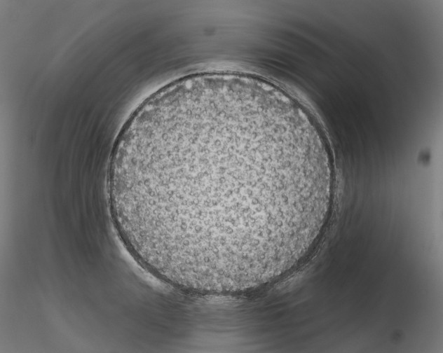 X0000115550847200912181551