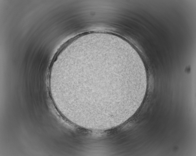 X0000115550848200912181551