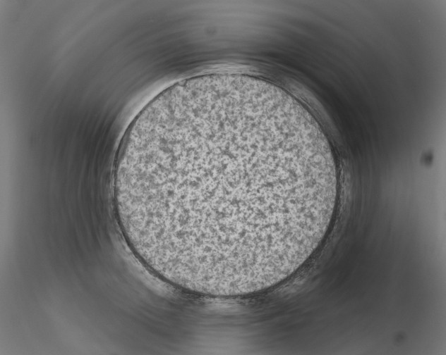 X0000115550852200912181551