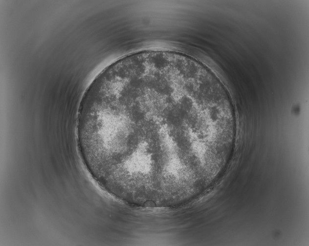 X0000115550853200912181551