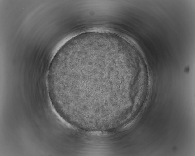 X0000115550855200912181551