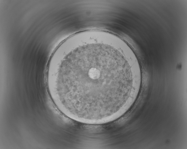 X0000115550856200912181551