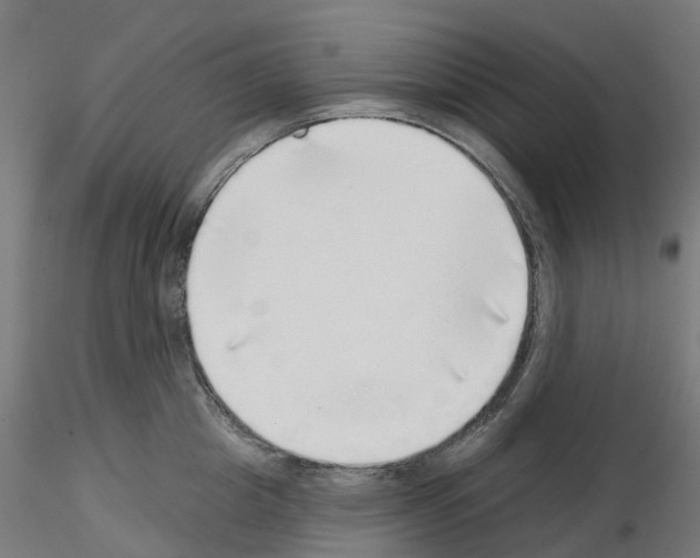 X0000115550857200912181551