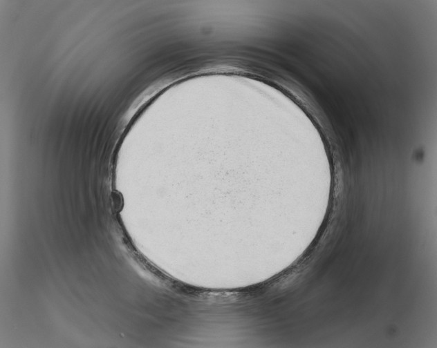 X0000115550858200912181551