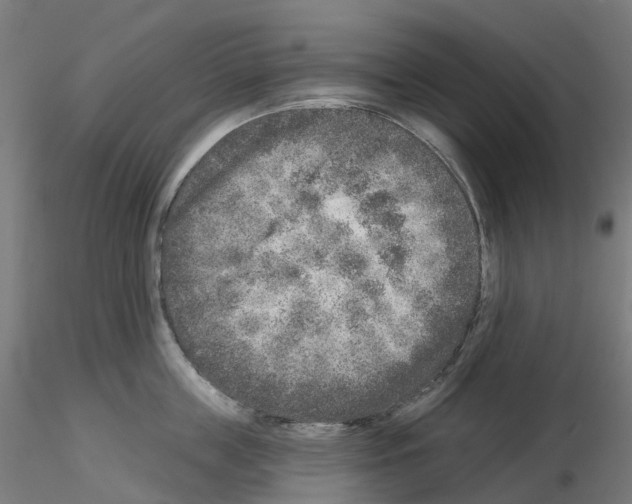 X0000115550859200912181551