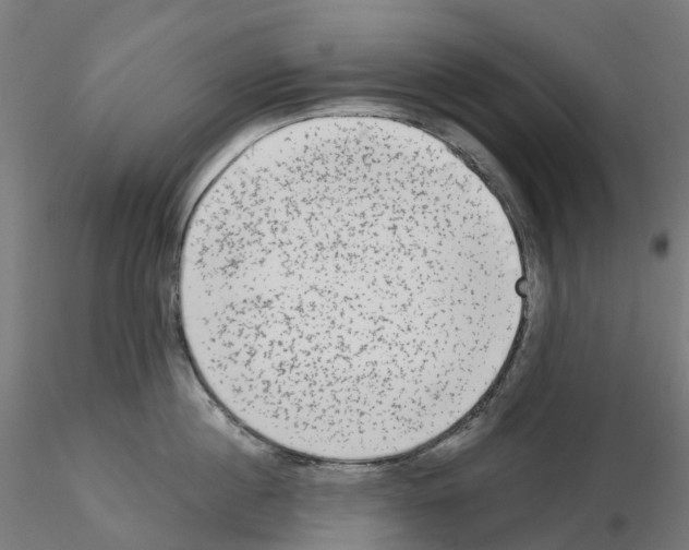 X0000115550860200912181551