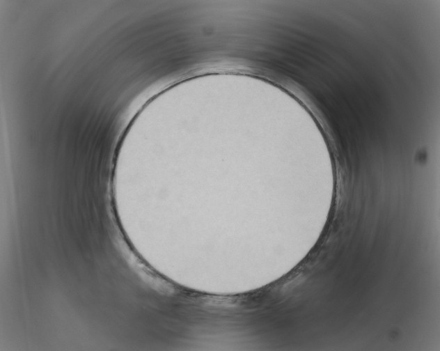 X0000115550861200912181551