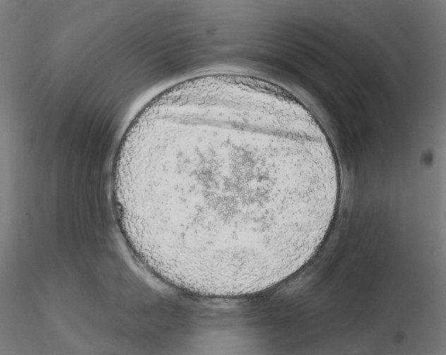 X0000115550862200912181551