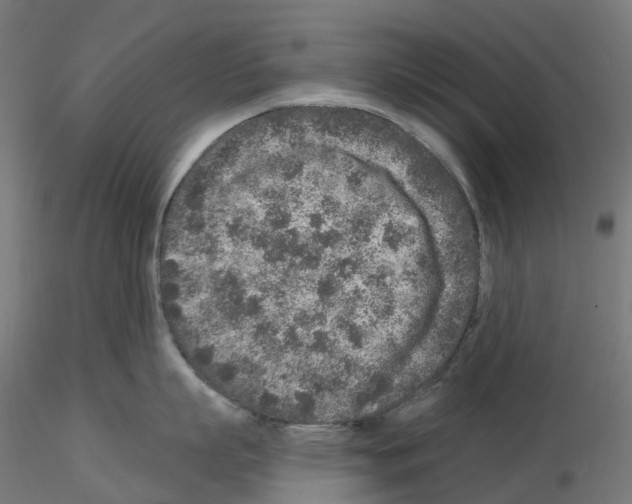 X0000115550863200912181551