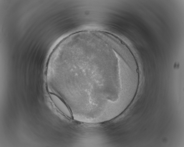 X0000115550864200912181551