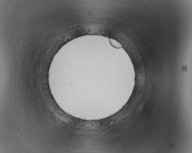 X0000115550865200912181550