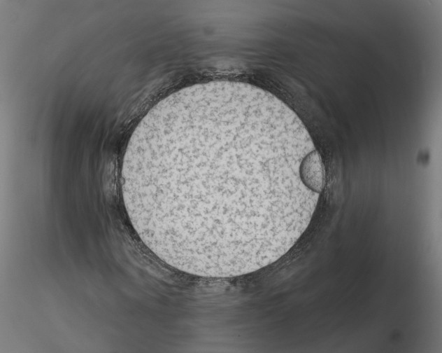 X0000115550866200912181550