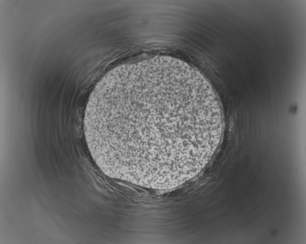 X0000115550868200912181550