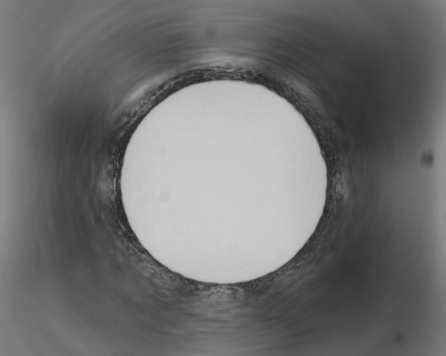 X0000115550869200912181550