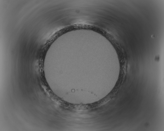 X0000115550870200912181550