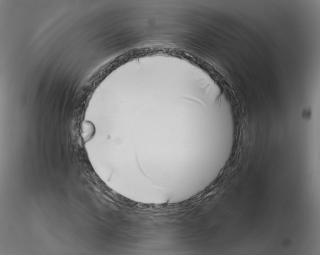 X0000115550872200912181550