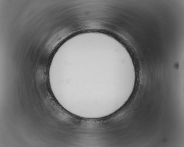 X0000115550873200912181550