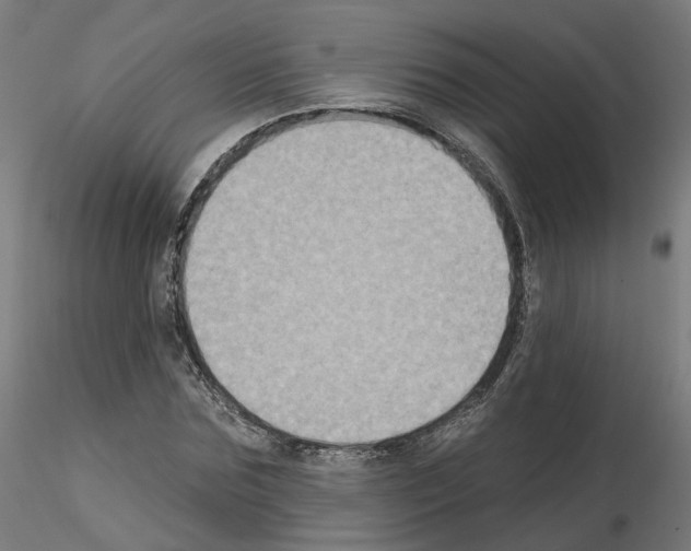 X0000115550875200912181550