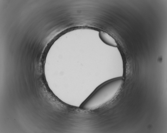 X0000115550876200912181550