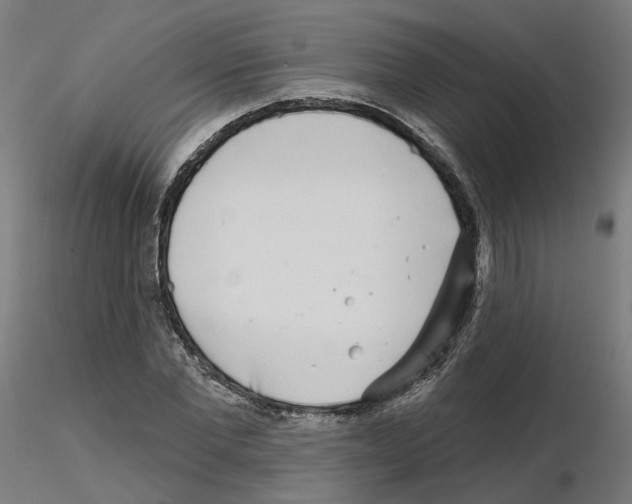 X0000115550877200912181550