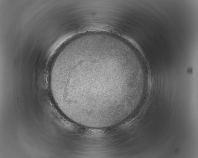 X0000115550878200912181550