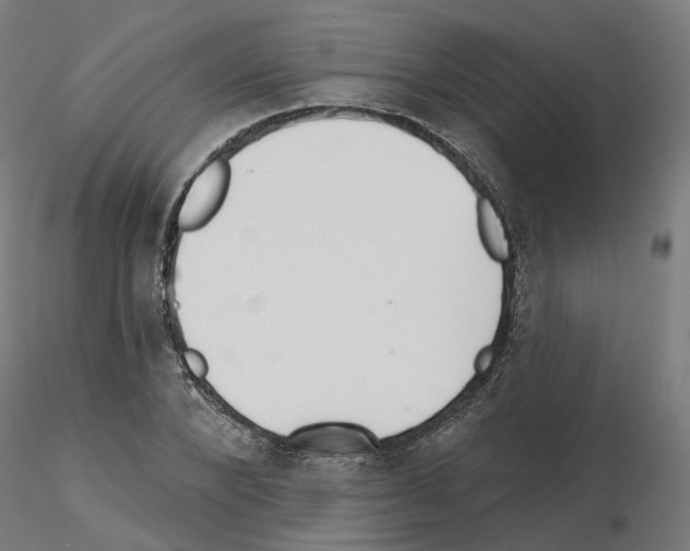 X0000115550880200912181550