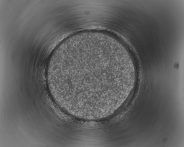 X0000115550881200912181550