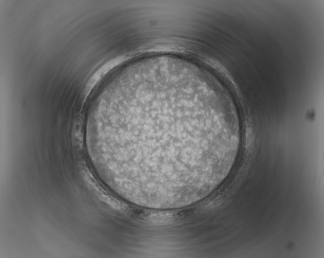 X0000115550882200912181550