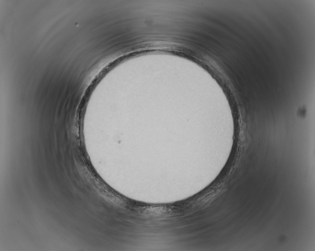 X0000115550883200912181550