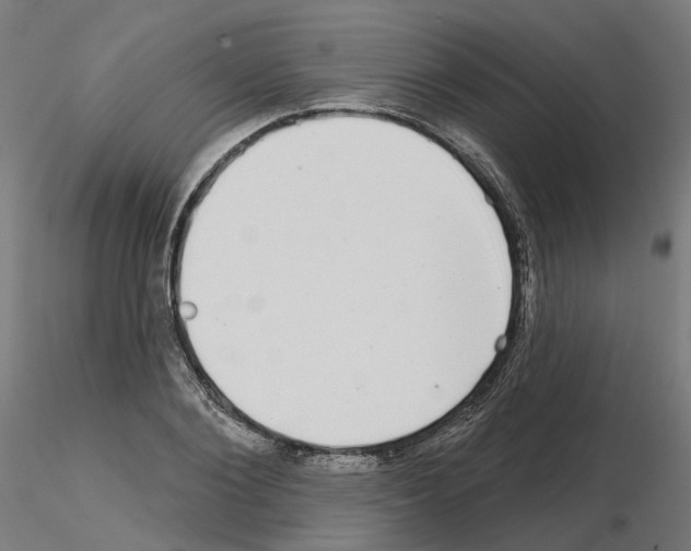 X0000115550884200912181550