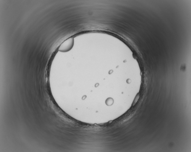 X0000115550885200912181550