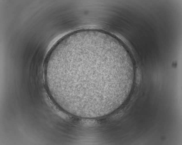 X0000115550886200912181550