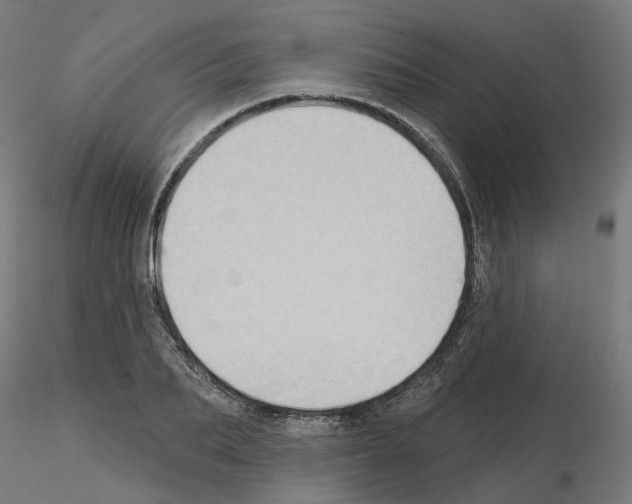 X0000115550887200912181550