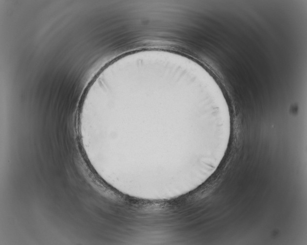 X0000115550891200912181550